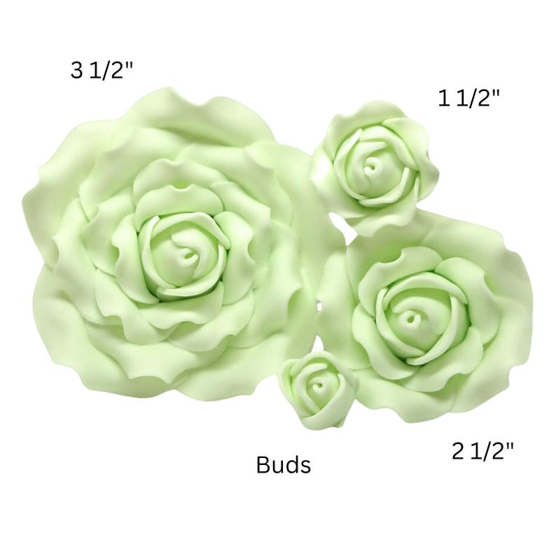 May include: A collection of light green rose buds and blooms. The largest bloom measures 3 1/2 inches across, with others at 2 1/2 and 1 1/2 inches. The image includes the word "Buds".