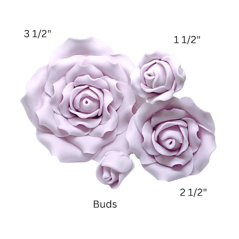 May include: Five light purple rose blossoms and buds of varying sizes. The largest rose measures 3 1/2 inches, with others at 2 1/2 and 1 1/2 inches. The word "Buds" is written below the smallest bud.