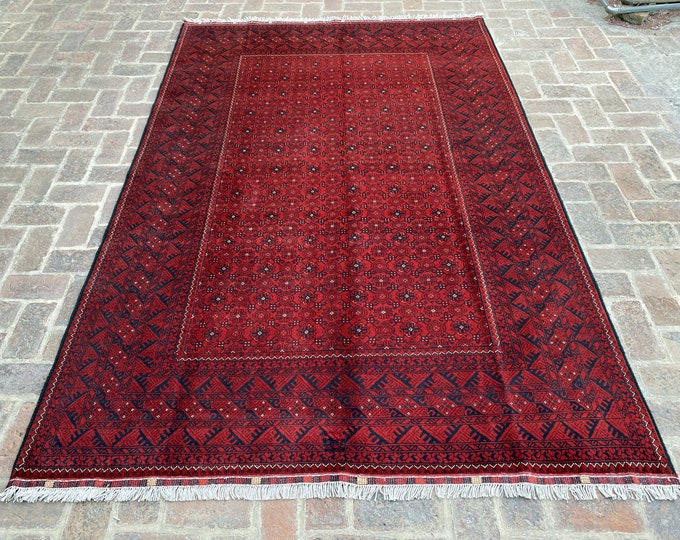 6'5 x 9'5 Fine Quality hand knotted wool Bashiri area rug