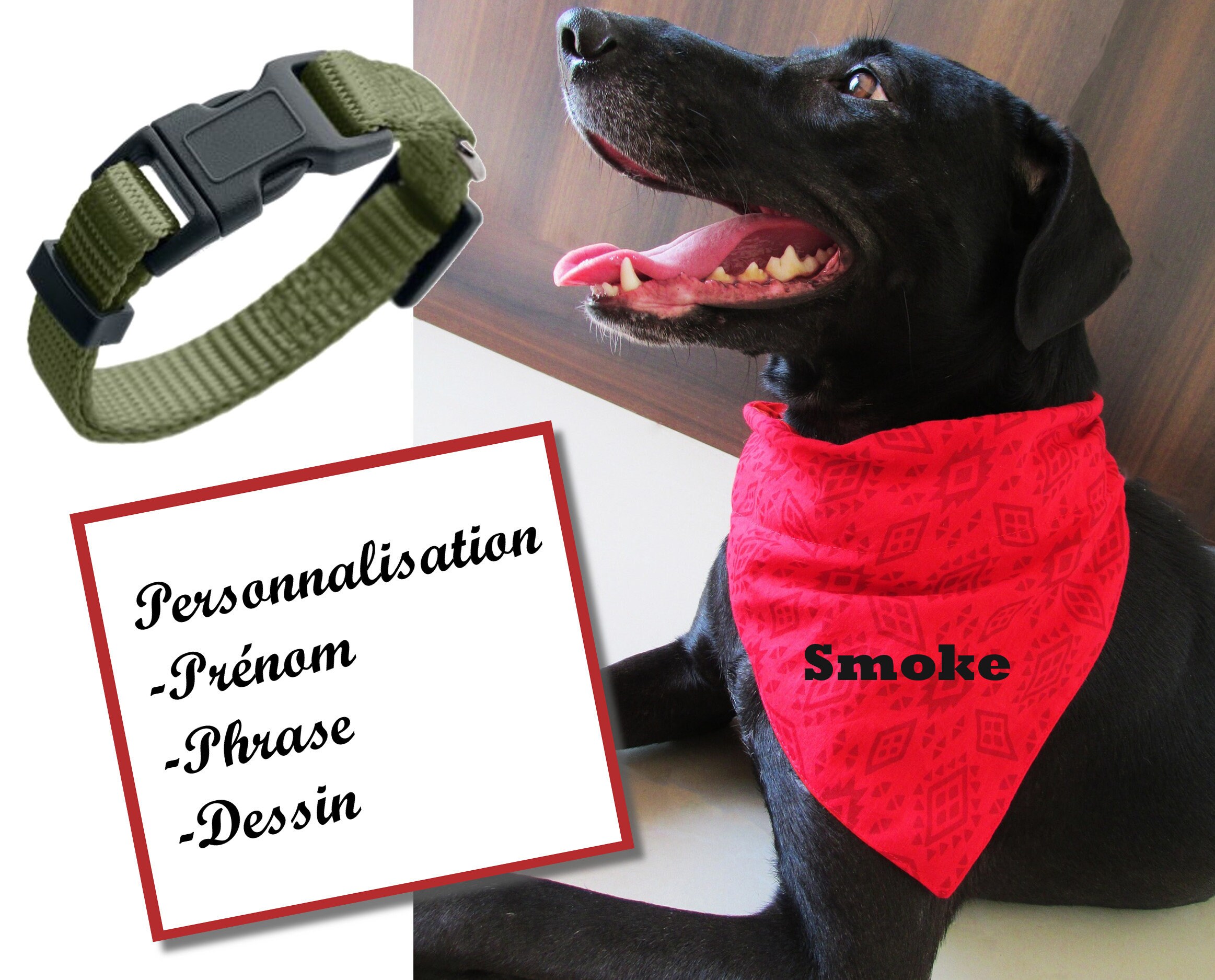 Bandana Chien Personnalisé, Bandana Pour Chien