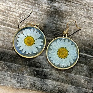 Pressed Daisy Flower Earings