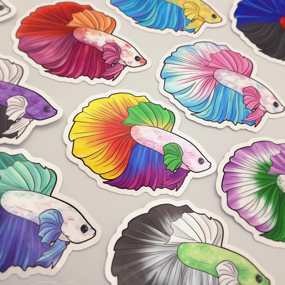 LGBTQ+ Pride Betta Fish | 3