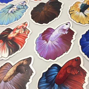 Op de afbeelding: Een verzameling kleurrijke betta-visstickers. De stickers bevatten gedetailleerde illustraties van de vissen met levendige kleuren, waaronder blauw, rood, paars en geel. Elke sticker heeft een witte rand.