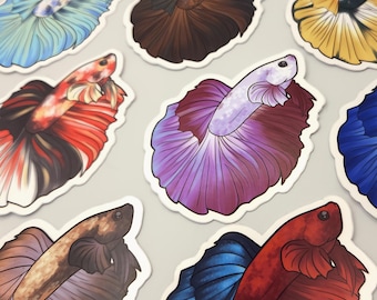 Variedades de Peixes Betta | Adesivos de Vinil de 7,6 cm