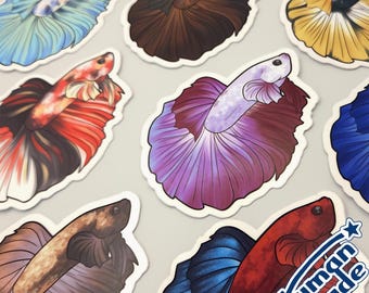 Betta Fish Varieties | 3" Vinyl Stickers