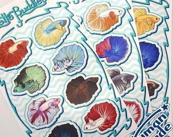 Betta Buddies | Betta Fish Vinyl Sticker Sheet | Sets #1-3