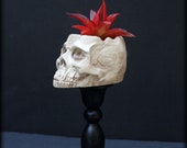 Skull Planter | Mini Succulent Plant Stand | Gothic Home Decor | Macabre Oddity | Goth Garden | Curiosity | Realistic Human Skull