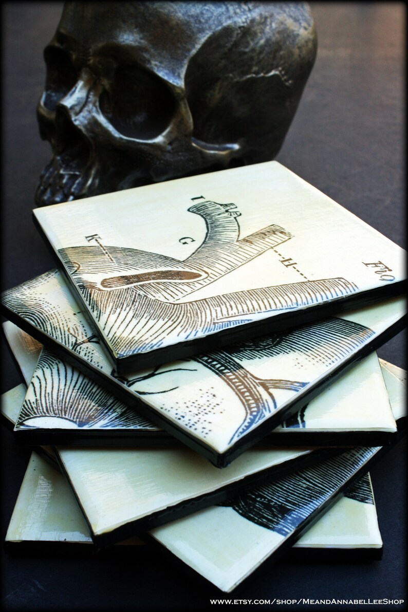 Anatomical Heart Tile Drink Coasters  Human Anatomy Puzzle  image 3