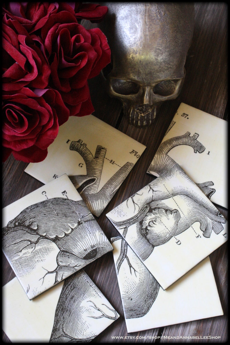 Anatomical Heart Tile Drink Coasters  Human Anatomy Puzzle  image 2