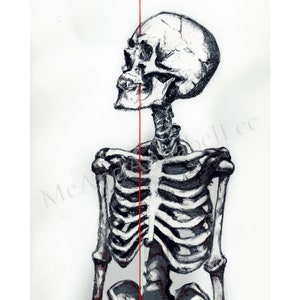 Skeleton Sketch Digital Art Print | Gothic | Instant Download | Death Clipart Image  | Macabre Image | Halloween Illustration | Urban Art