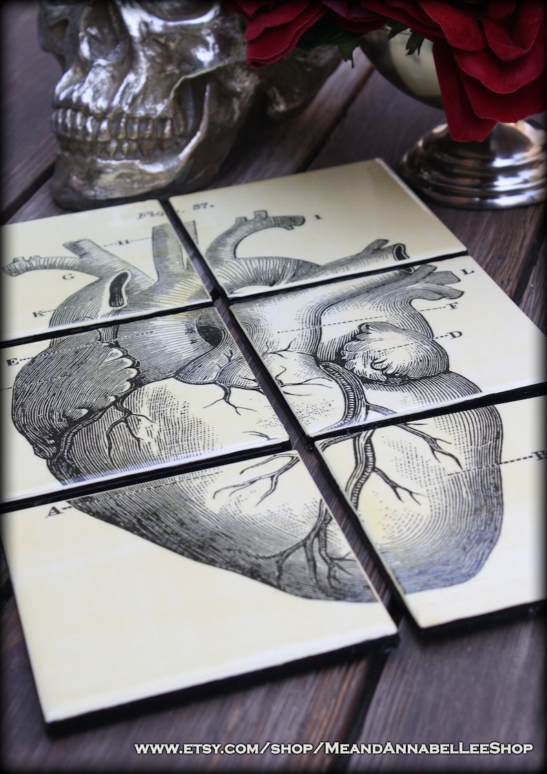 Anatomical Heart Tile Drink Coasters Human Anatomy Puzzle image 0