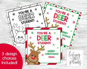 Student Gift Tags Christmas, Student Gift Tag from teacher, Christmas Gift Tags from Teacher, Teacher Gift Tags for Christmas