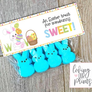 Editable Easter Treat Bag Topper, Easter Treat Bags, Easter Bunny Treat Bag, Easter Treats for Kids, Easter Treat Bag Tags