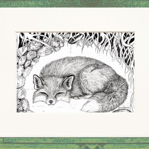 Fox Sleeping in Den Black and White Wall Art Matted Print from Drawing Fox Nursery Cute Animal image 1