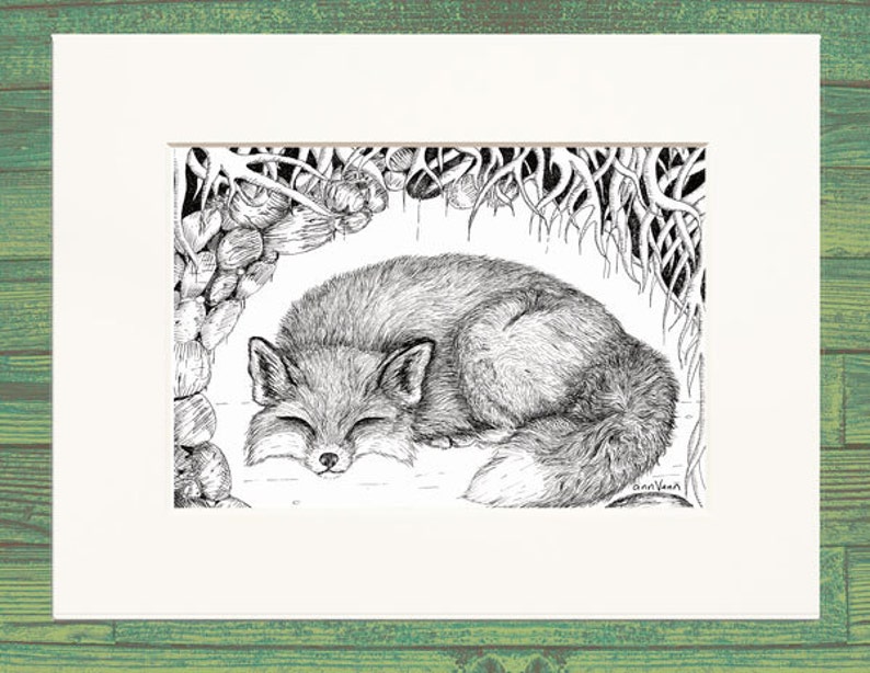 Fox Sleeping in Den Black and White Wall Art Matted Print From Drawing