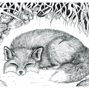 Fox Sleeping in Den Black and White Wall Art Matted Print from Drawing Fox Nursery Cute Animal image 2