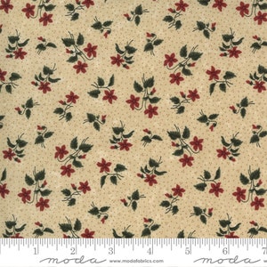 Prairie Dreams  by Kansas Troubles Tan 9652 11
