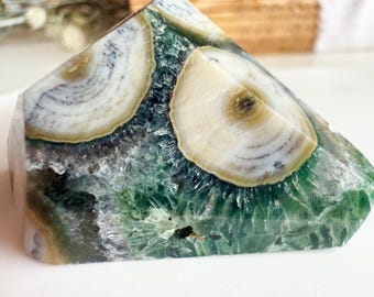 Forest Green Marshy Vibrant Druzy Ocean Jasper Free Form | Orby Ocean Jasper Gem with Shimmering Druzy
