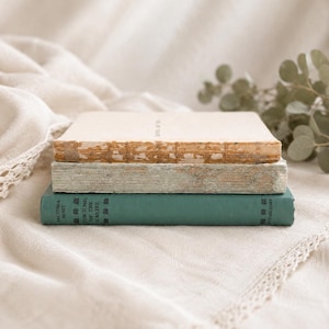 Neutral Vintage Book Collection | Teal, Ivory & Mint Antique Books with Raw Linen Ribbon | Cottage Farmhouse Heirloom Literature Decor Set