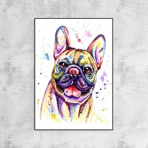 Französische Bulldogge, Frenchie, Gemälde Kunstdruck, Poster, Kunstwerk. Druck von Buntem Aquarell Portrait Buntes Geschenk. Mount (Matt) Optionen.