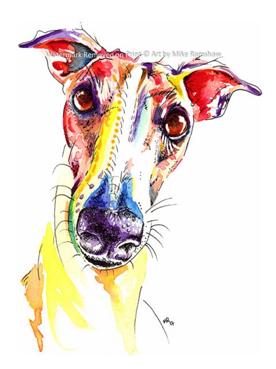 greyhound art
