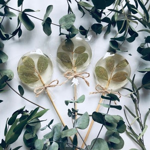 10 Boho Gastgeschenke, rustikale Gastgeschenke, Grünes Geschenk, Essbare Blume Lollipops, Feinschmecker Geschenk, grüne Hochzeitsgeschenk, Juteschleife, Kristall Gastgeschenk