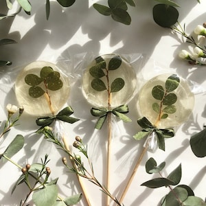 10 Boho Gastgeschenke, rustikale Gastgeschenke, Grünes Geschenk, Essbare Blume Lollipops, Feinschmecker Geschenk, grüne Hochzeitsgeschenk, Juteschleife, Kristall Gastgeschenk