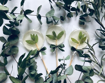 Rustic wedding favor, set of 10 green mint lollipop on wooden stick, greenery bridal shower favor with green ribbon bow, crystal favor