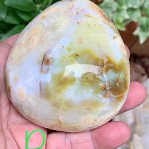May include: A polished, rounded stone displaying a blend of creamy white, pale yellow, and brown tones, creating a marbled effect. The stone is held in a hand, with a green letter "B" visible in the lower left corner. The stone's shape is smooth.