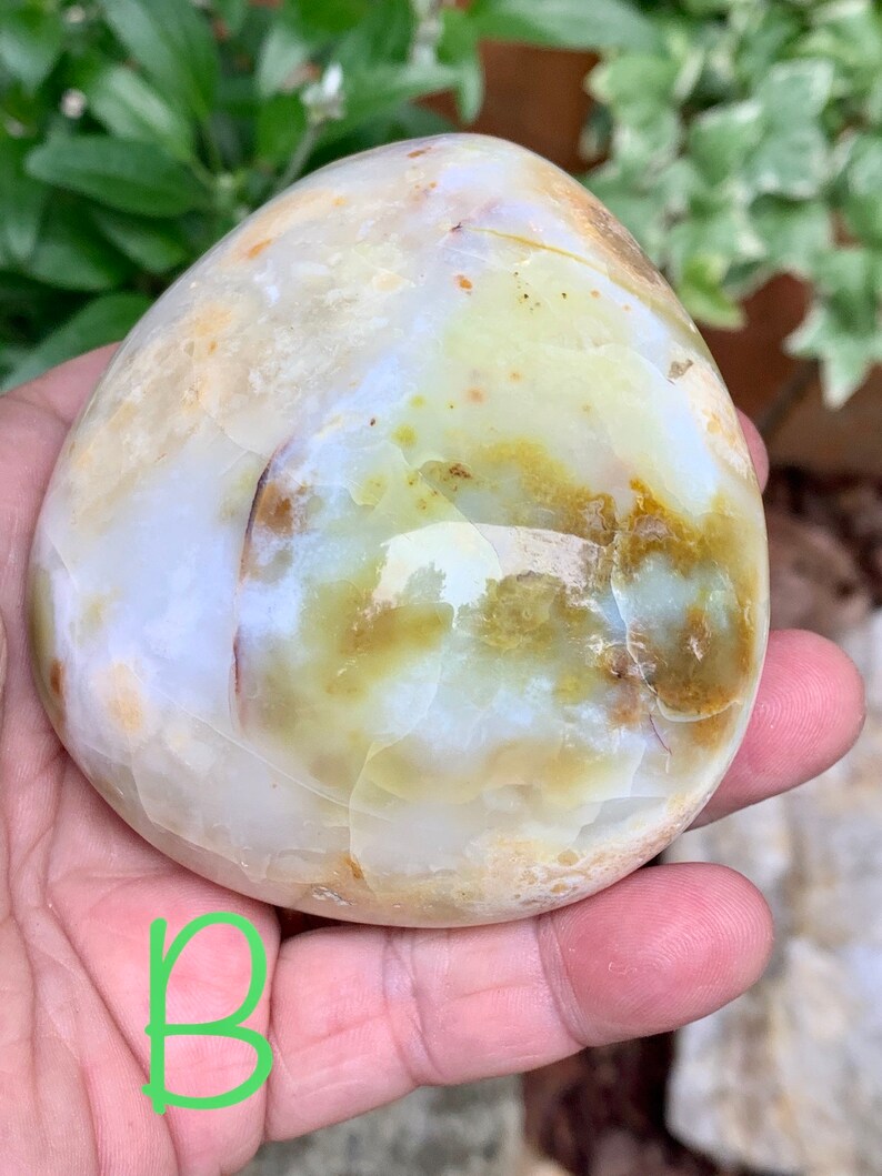 May include: A polished, rounded stone displaying a blend of creamy white, pale yellow, and brown tones, creating a marbled effect. The stone is held in a hand, with a green letter "B" visible in the lower left corner. The stone's shape is smooth.