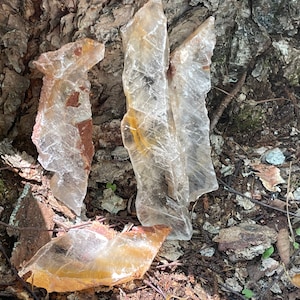 Golden Phantom Selenite, Rare! Golden Ray Selenite, Arkansas Golden Selenite, Your Choice of Size, Selenite Slabs