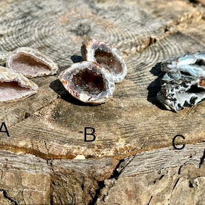 Könnte beinhalten: Drei offene Geoden werden auf einer verwitterten Holzoberfläche gezeigt. Die Geoden variieren in der Farbe, mit Schattierungen von Braun, Weiß und Grau. Die Innenräume der Geoden zeigen Kristallformationen. Die Buchstaben A, B und C sind sichtbar.