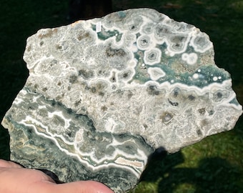 Ocean Jasper Slab, SOJ8/26, Rare Ocean Jasper, Madagascar Ocean Jasper, Orbicular Jasper, Magníficos colores y patrones
