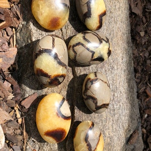 XL Septarian Palm Stone - Dragon Egg - SPS-2 Calcite, Limestone, Aragonite - Grounding - Dragon Stone - Giraffe Stone