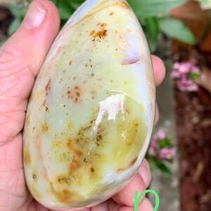 May include: A polished, oval gemstone with a smooth, glossy surface. The stone has pale yellow, cream, and translucent white hues, speckled with brown and tan markings. The gemstone is held in a hand, with a blurred green background.