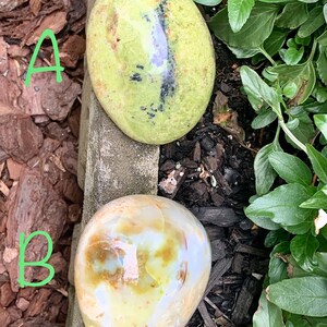 May include: Two polished stones. The top stone is oval, with a light green hue and dark streaks. The bottom stone is oval, with a creamy white and tan colour. The stones are displayed on a bed of mulch and next to green plants.