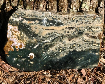 Increíble Losa Orbicular Ocean Jasper - Ocean Jasper Slab, Ocean Calcedony - Orbicular Jasper - Vugs and Orbs, Ocean Jasper Druzy