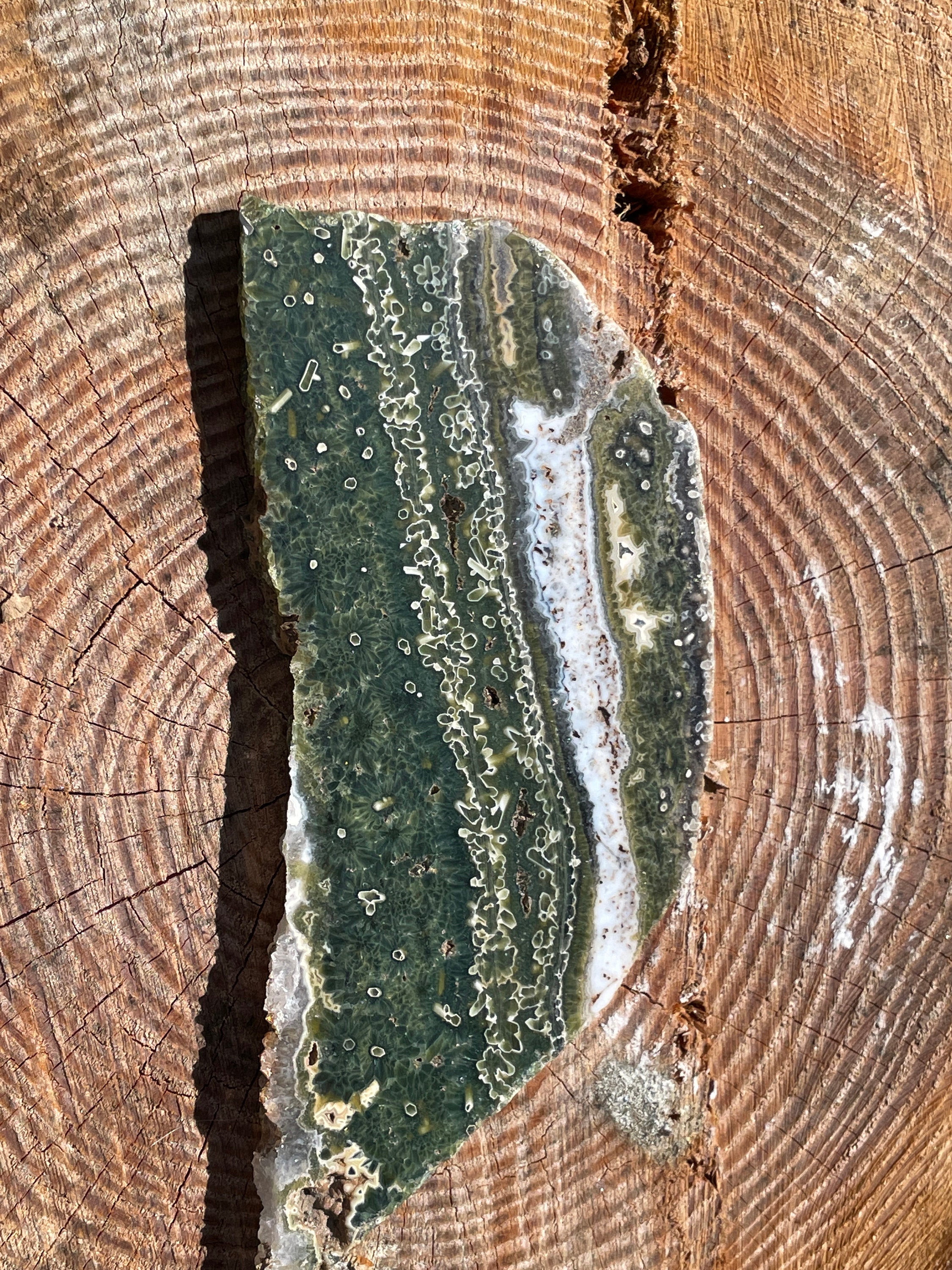 オーシャン ジャスパー スラブ、GJ1/18、希少なオーシャン ジャスパー