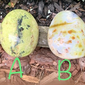 May include: Two polished oval gemstones. One is a light green colour with black inclusions, labelled "A". The other is a creamy white with brown and yellow spots, labelled "B". Both are set against a backdrop of brown mulch.