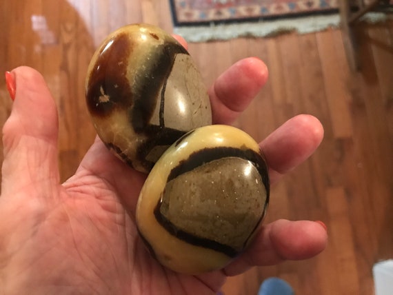 XL Septarian Palm Stone - Dragon Egg - SPS-2 Calcite, Limestone