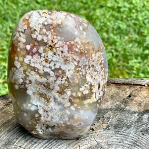 Peut inclure: Une grande pierre d'agate lisse, de couleur grise avec des marques blanches et brunes. La pierre a un motif unique et moucheté.