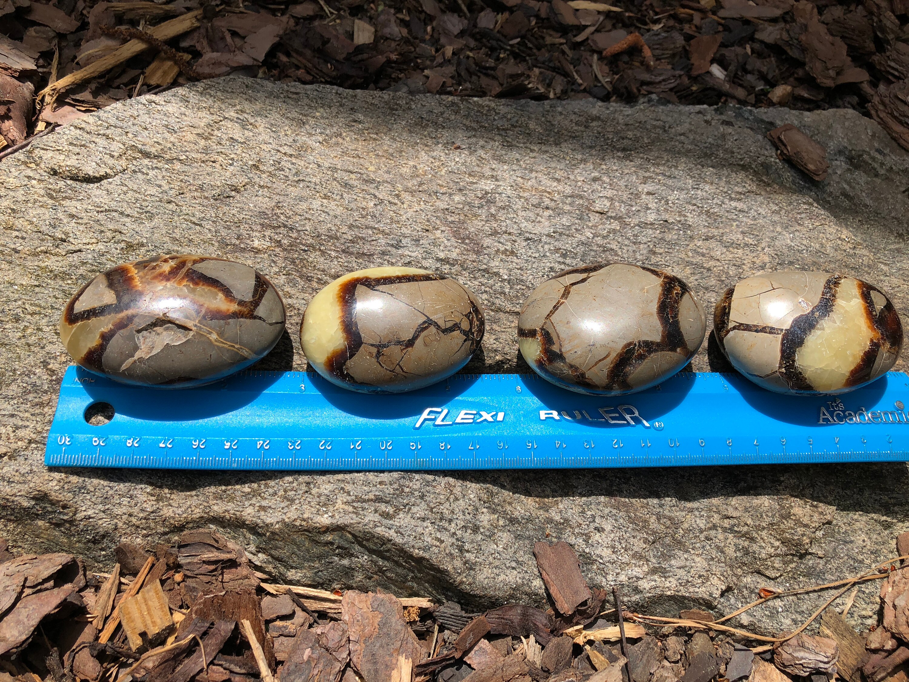 XL Septarian Palm Stone - Dragon Egg - SPS-2 Calcite, Limestone