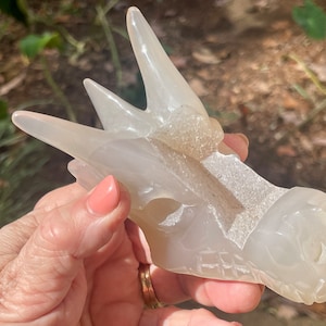 Lots of Druzy! Agate Dragon, Gray Agate Dragon, Dragon Skull, GDS11/1, Agate Dragon Skull, Druse Dragon, Carved Dragon, Carved Dragon Skull
