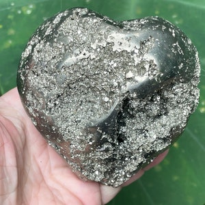 以下が含まれることがあります： ざらざらとした金属製の銀色の表面を持つハート型のパイライト結晶。結晶は手のひらほどの大きさです。