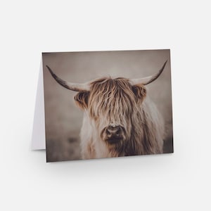 Tarjetas de notas de Montana (paquete de 6), fotografía rústica, impresiones de bellas artes, Montana, paquete variado de vacas, oeste, caballos, campo