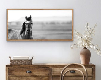 Warrior Horse wood framed textured print, horse, black and white horse, farm house photo, fine art print, wall art