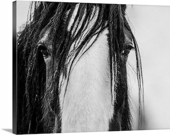 Ranch Hair Wrapped Canvas, horse, black and white horse, running horse, farm house photo, fine art canvas, wall art