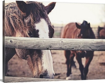 Horse Sense canvas print, horse, ranch photo, horses, fine art canvas, wall art