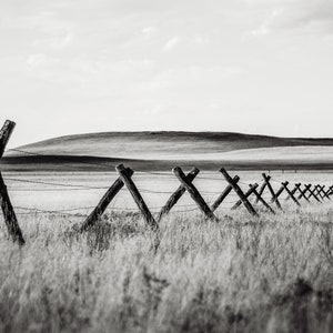 May include: A black and white photograph of a wooden fence with barbed wire running along the top. The fence is in a field of tall grass, and there is a rolling hill in the background.