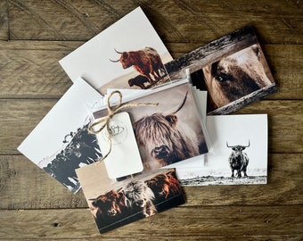 Montana Custom Notecards (6 pack), fine art notecards, Montana, highlander cow, cows, horse eye, baby highlanders, farm